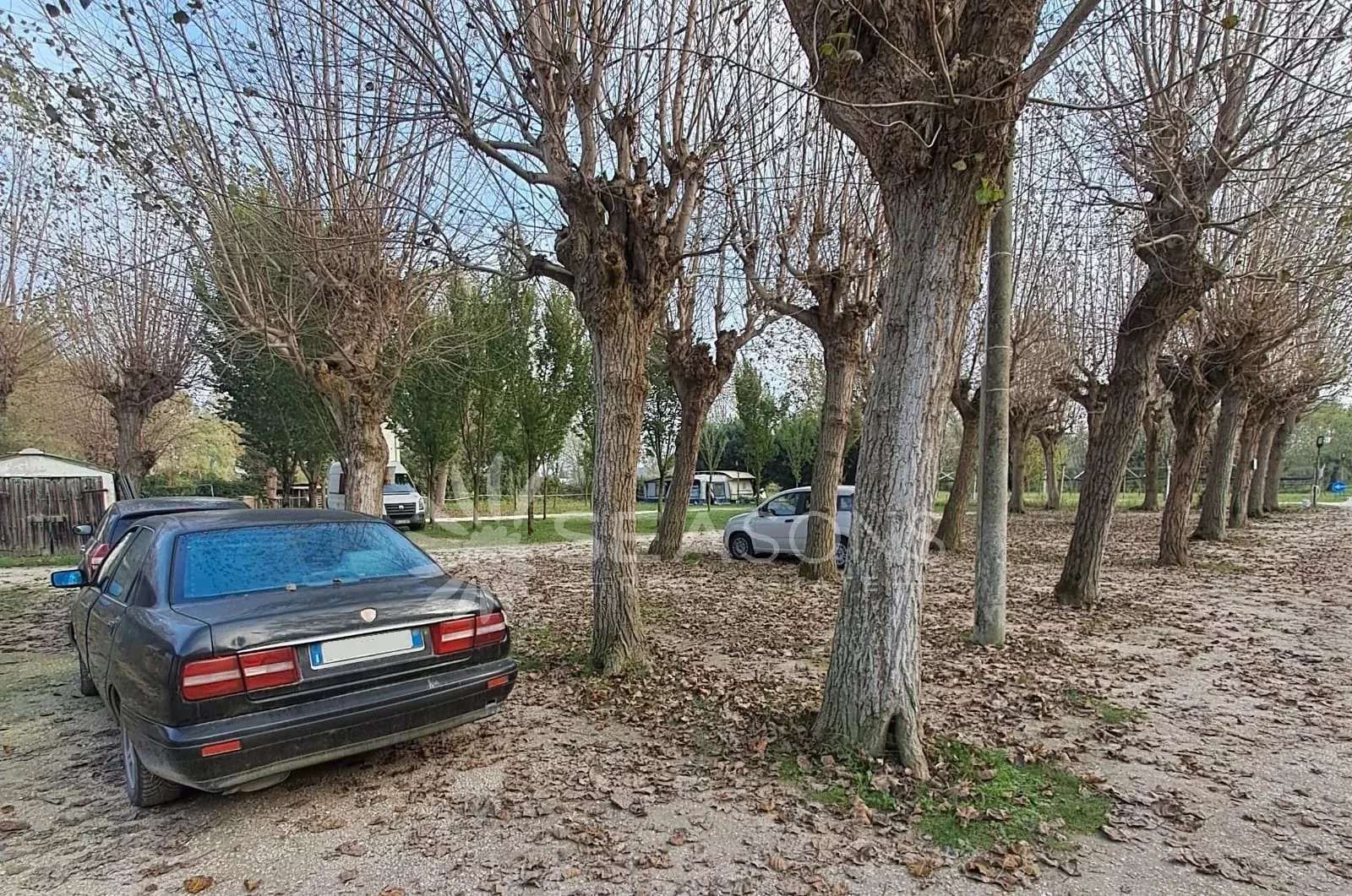  - foto 7