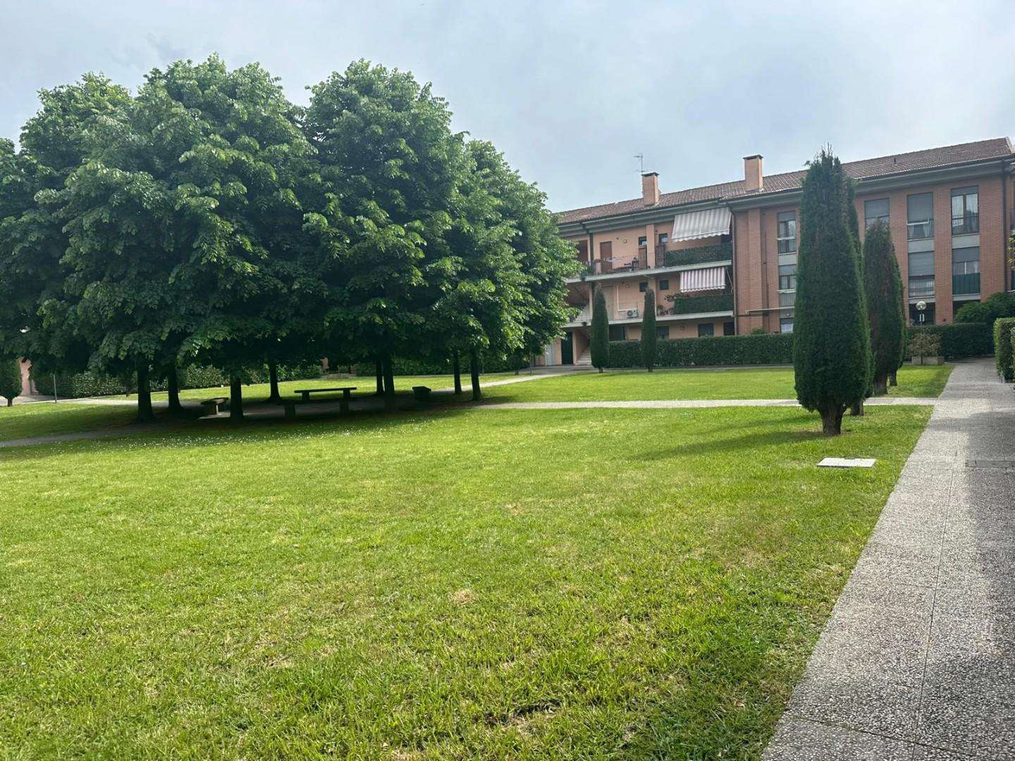  - foto 14