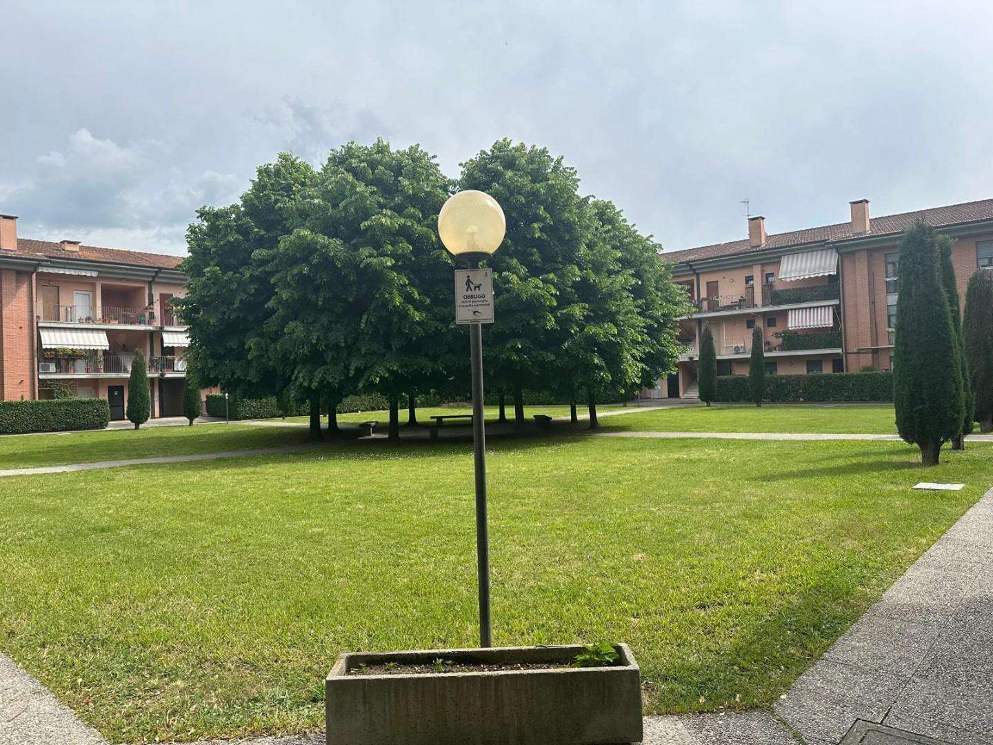  - foto 15