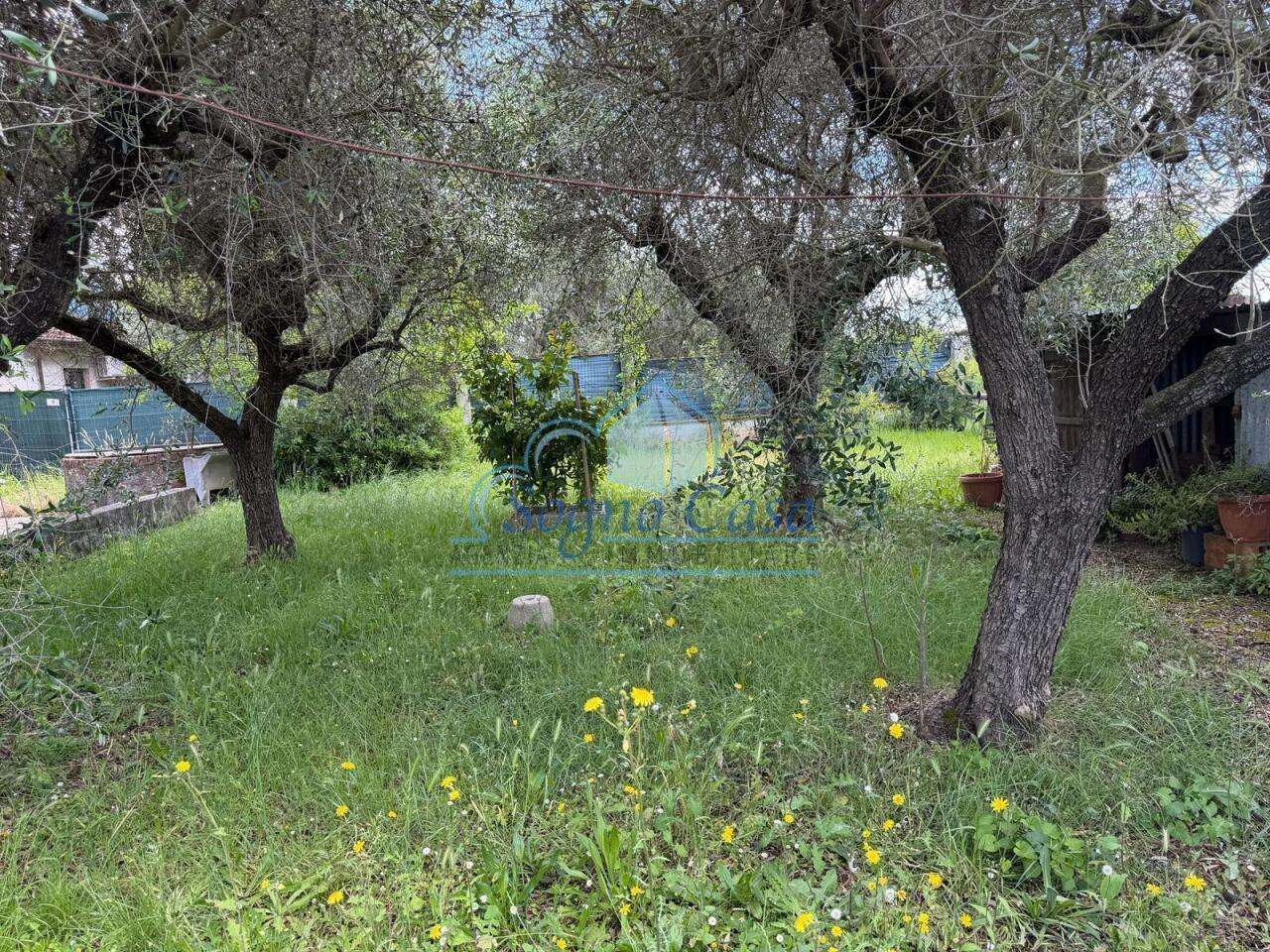  - foto 10