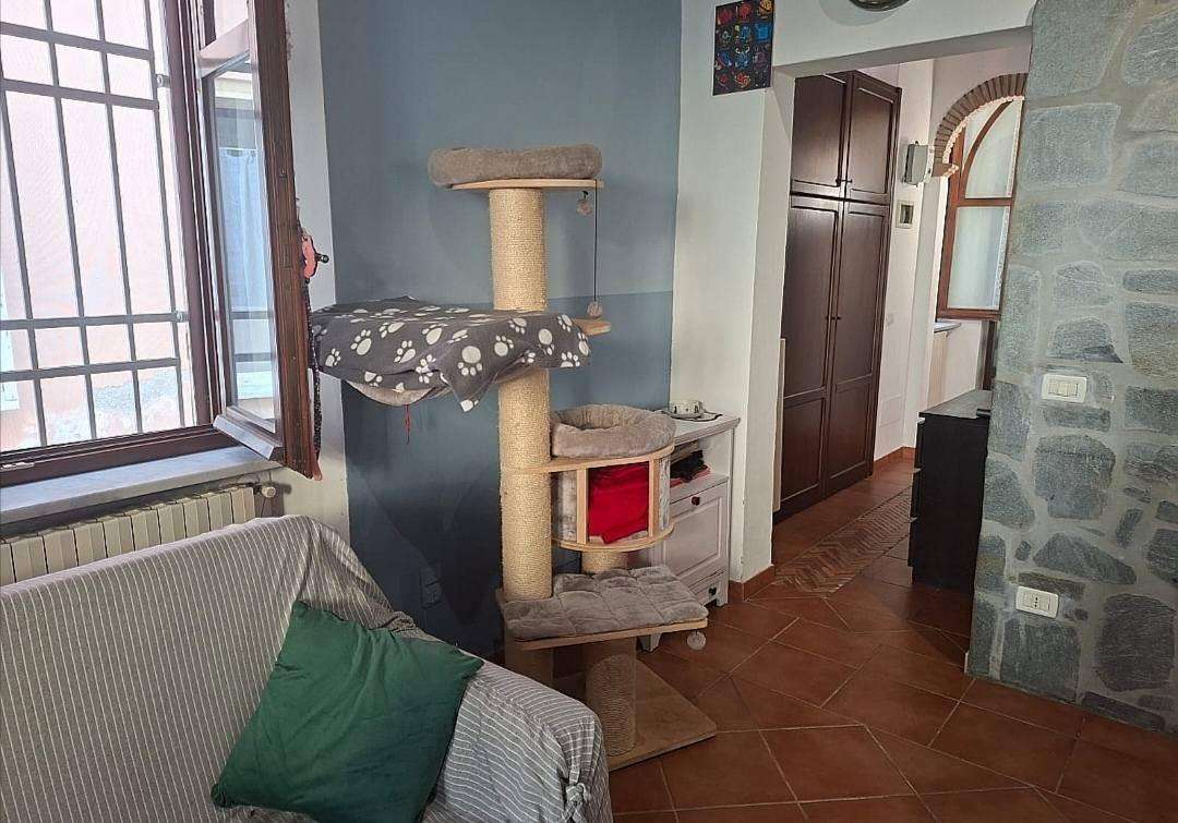  - foto 7