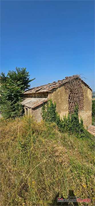 Azienda agricola loc. poggio ai frati, Poggibonsi