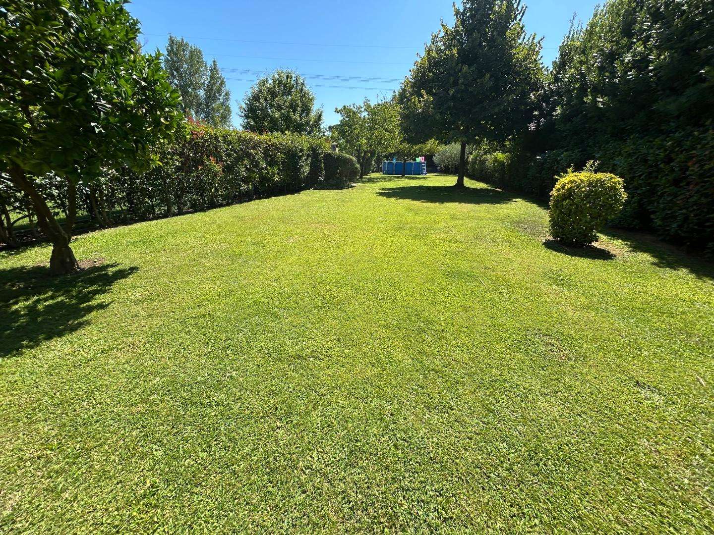  - foto 10