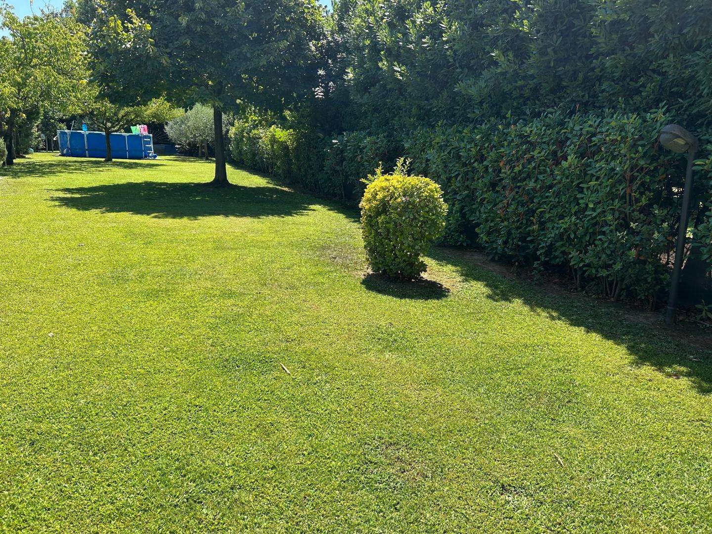  - foto 48