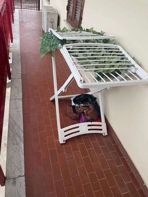  - foto 13