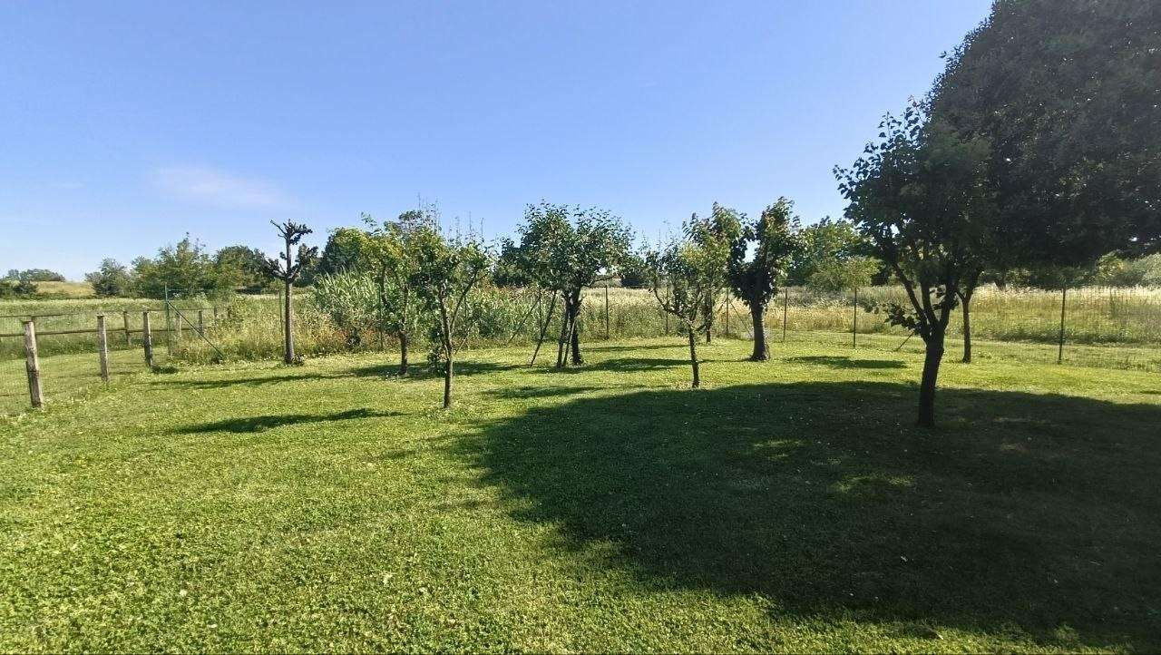  - foto 35