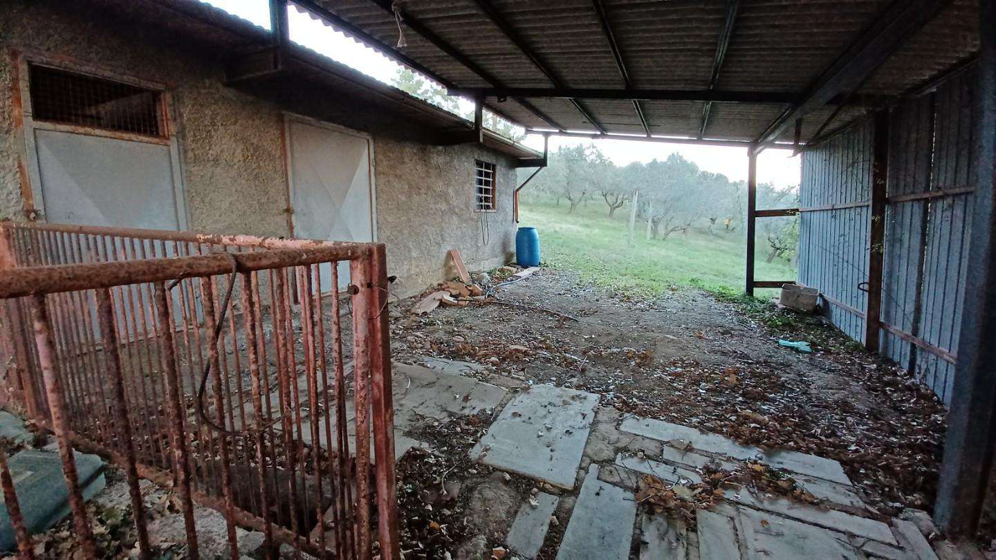  - foto 46