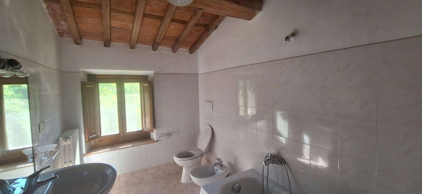  - foto 12