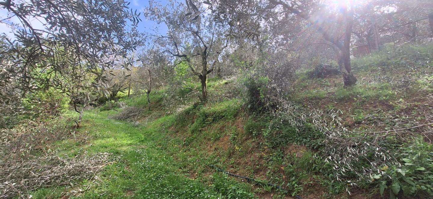  - foto 2