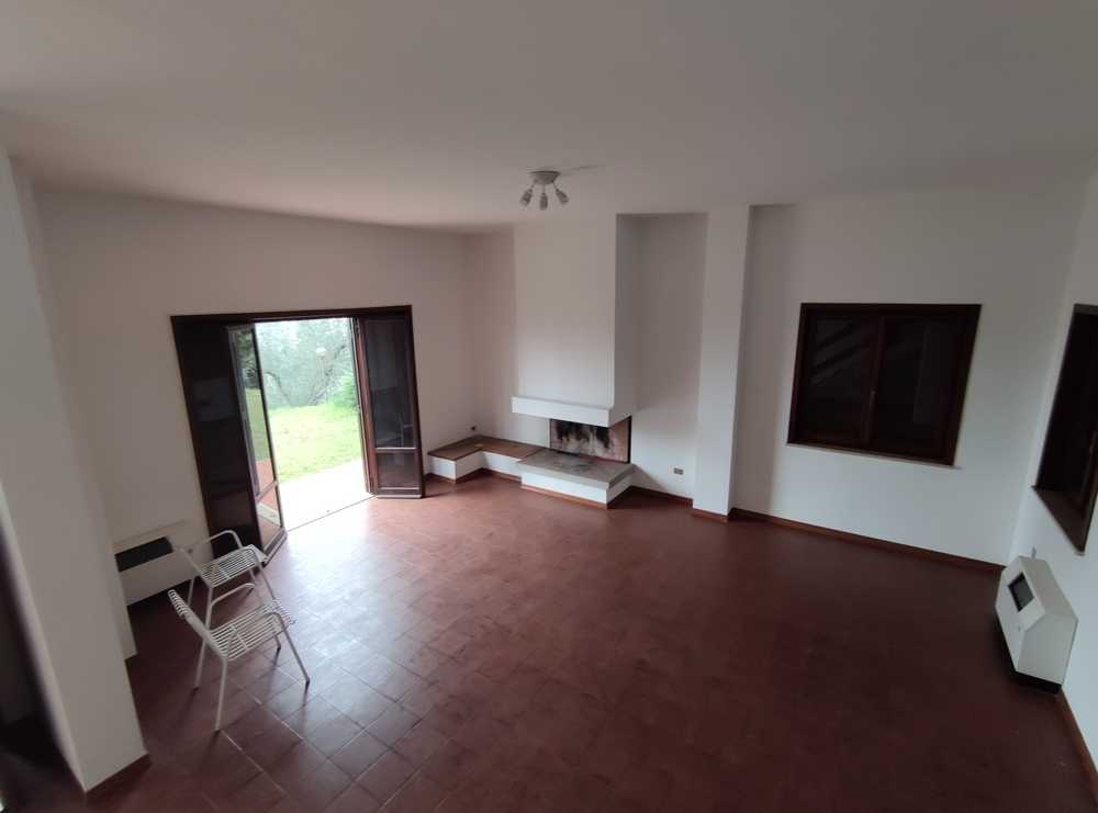  - foto 12