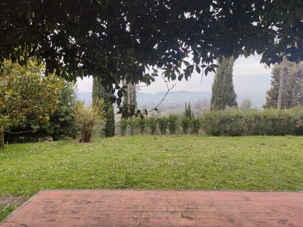  - foto 26