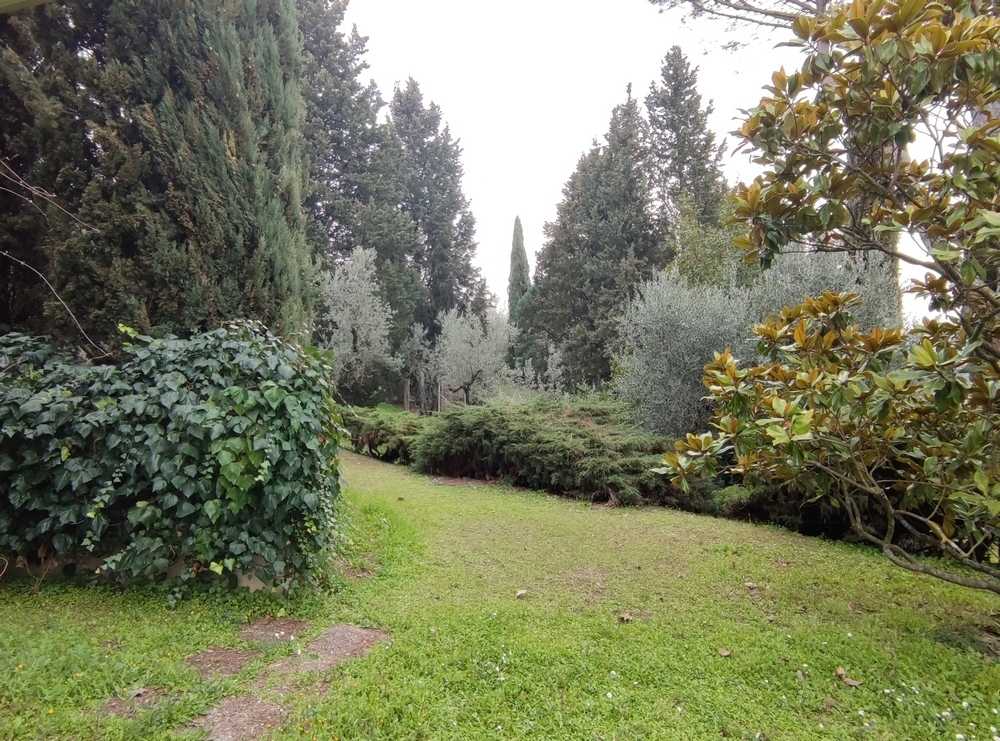  - foto 31