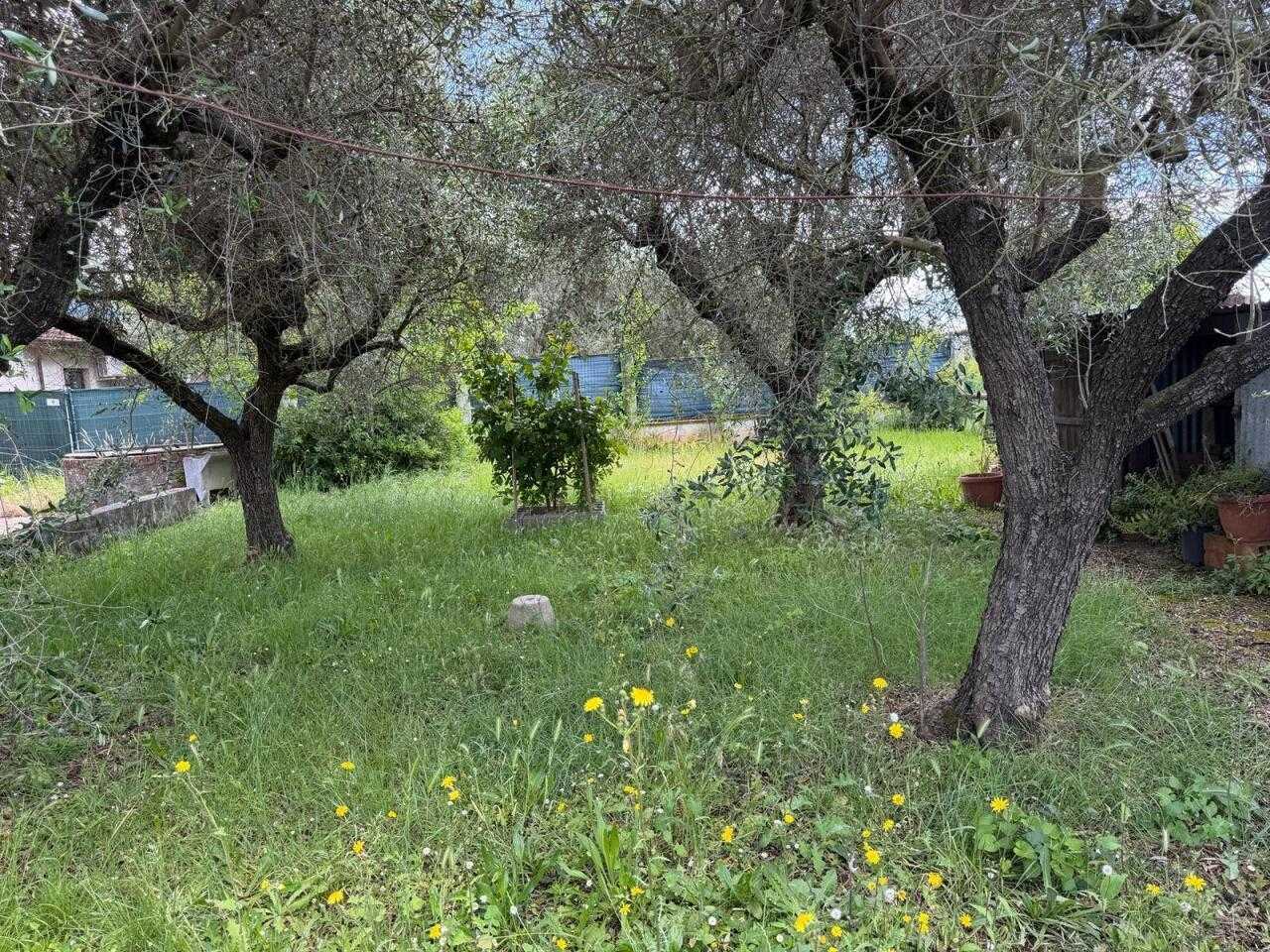  - foto 10