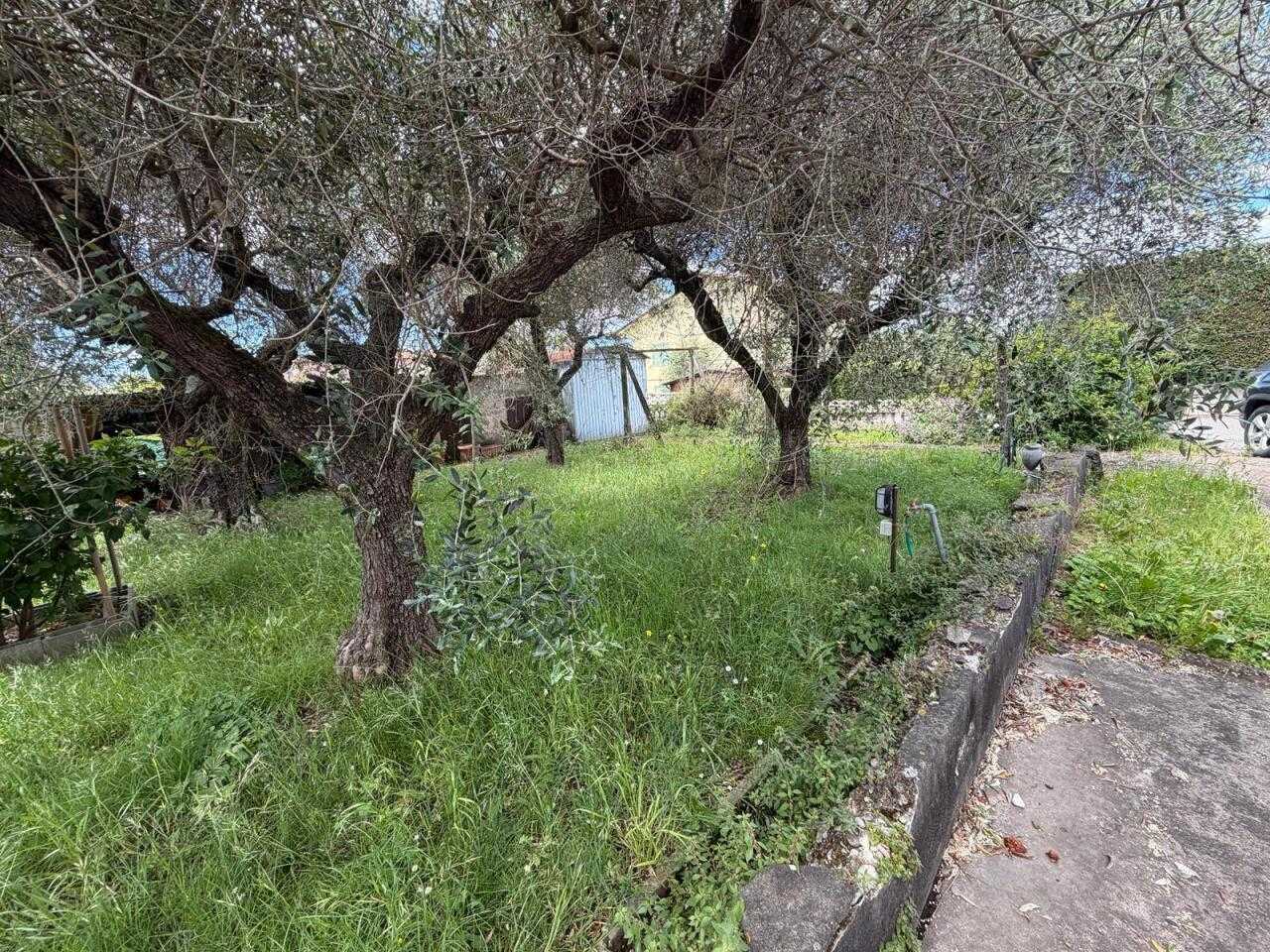  - foto 11