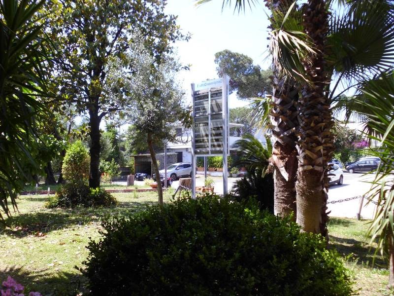  - foto 19