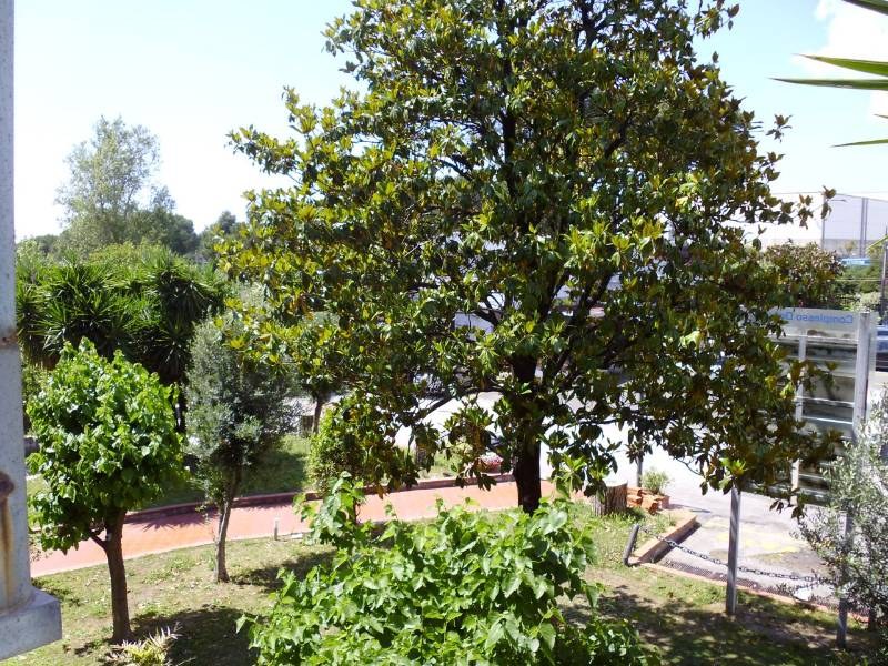  - foto 8
