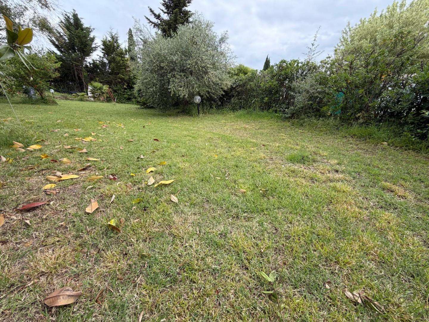  - foto 16