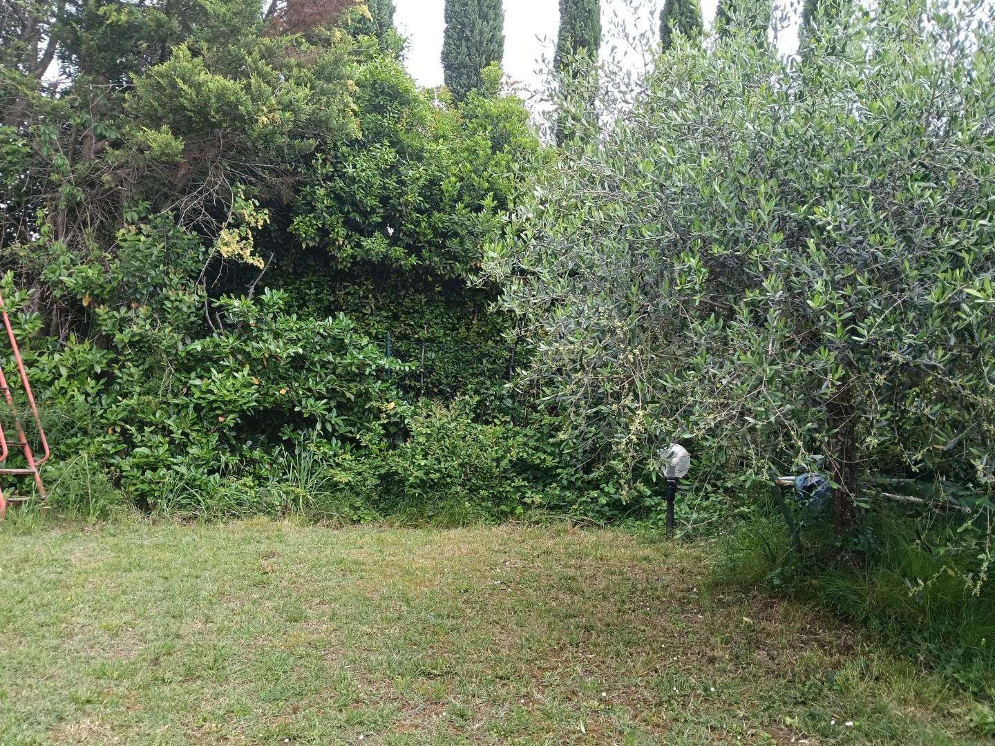  - foto 18