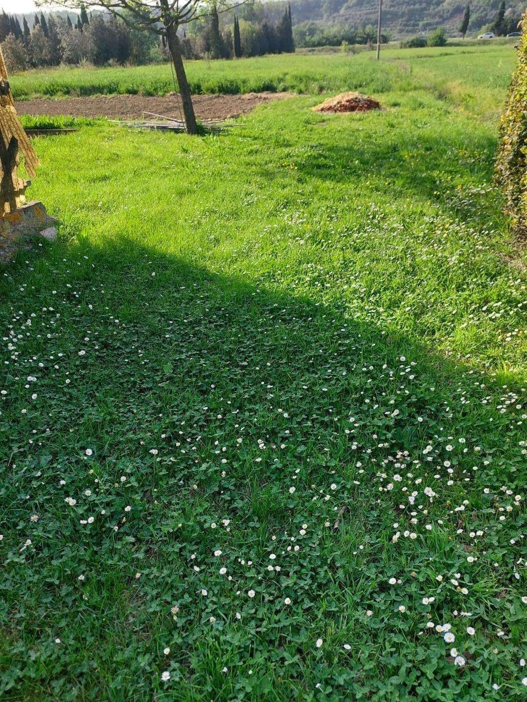  - foto 10