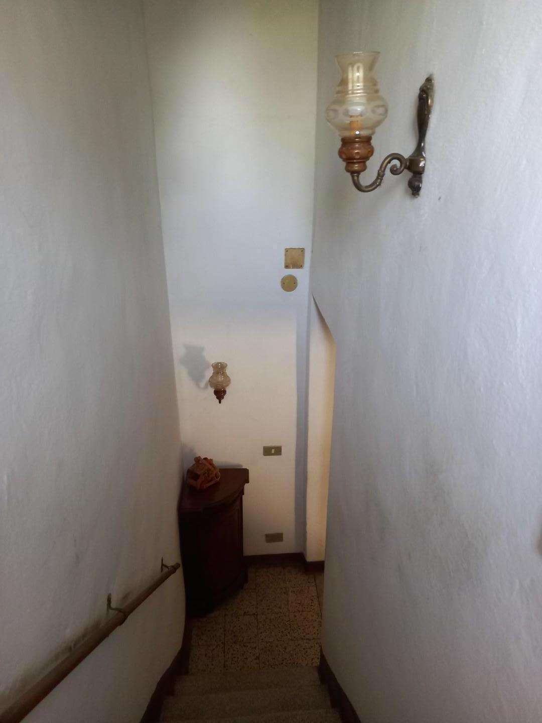  - foto 12