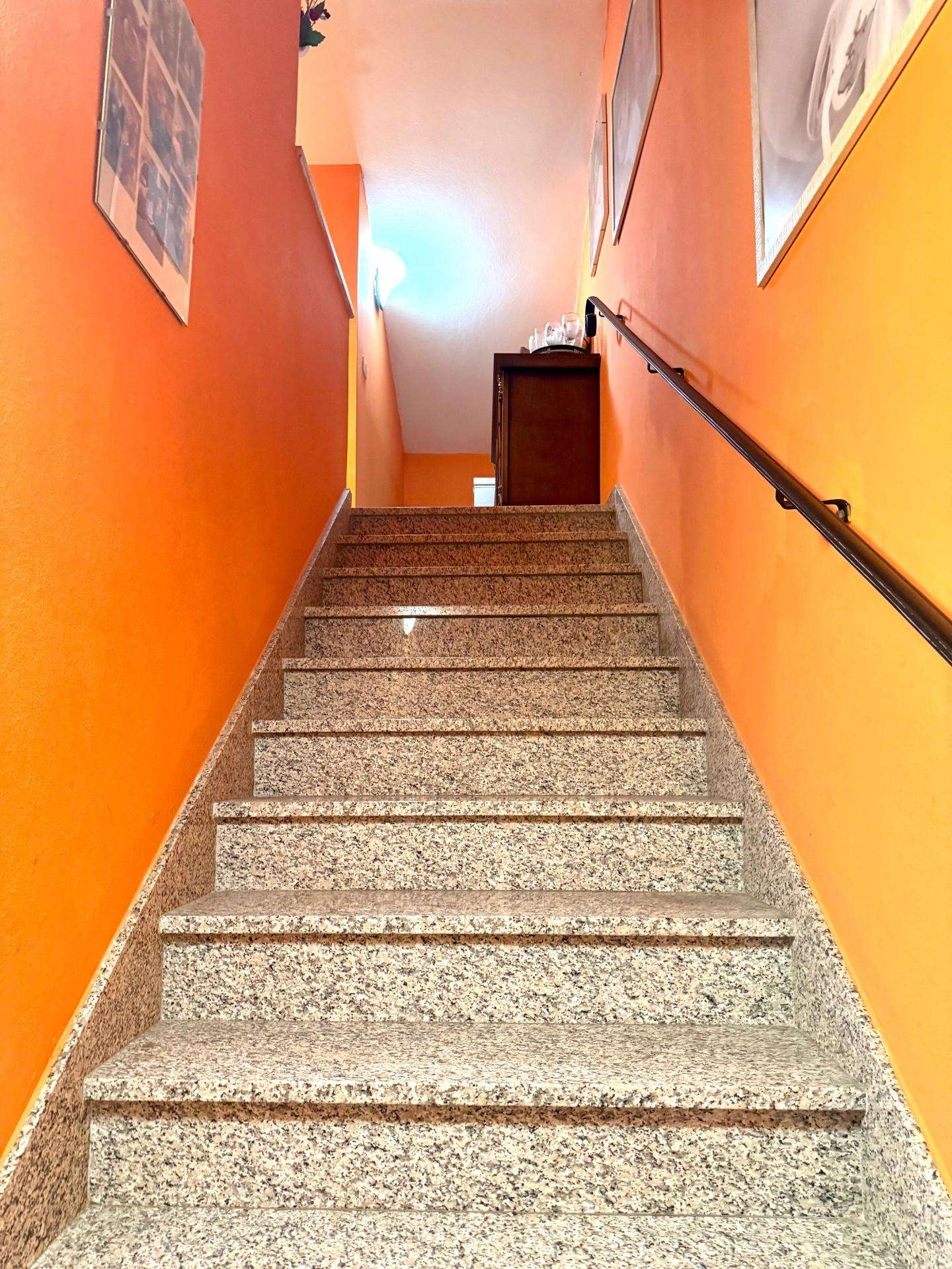  - foto 29