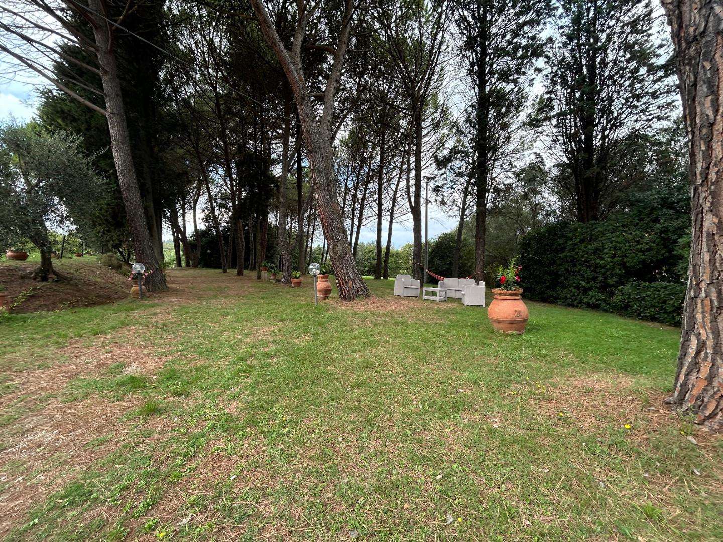  - foto 14