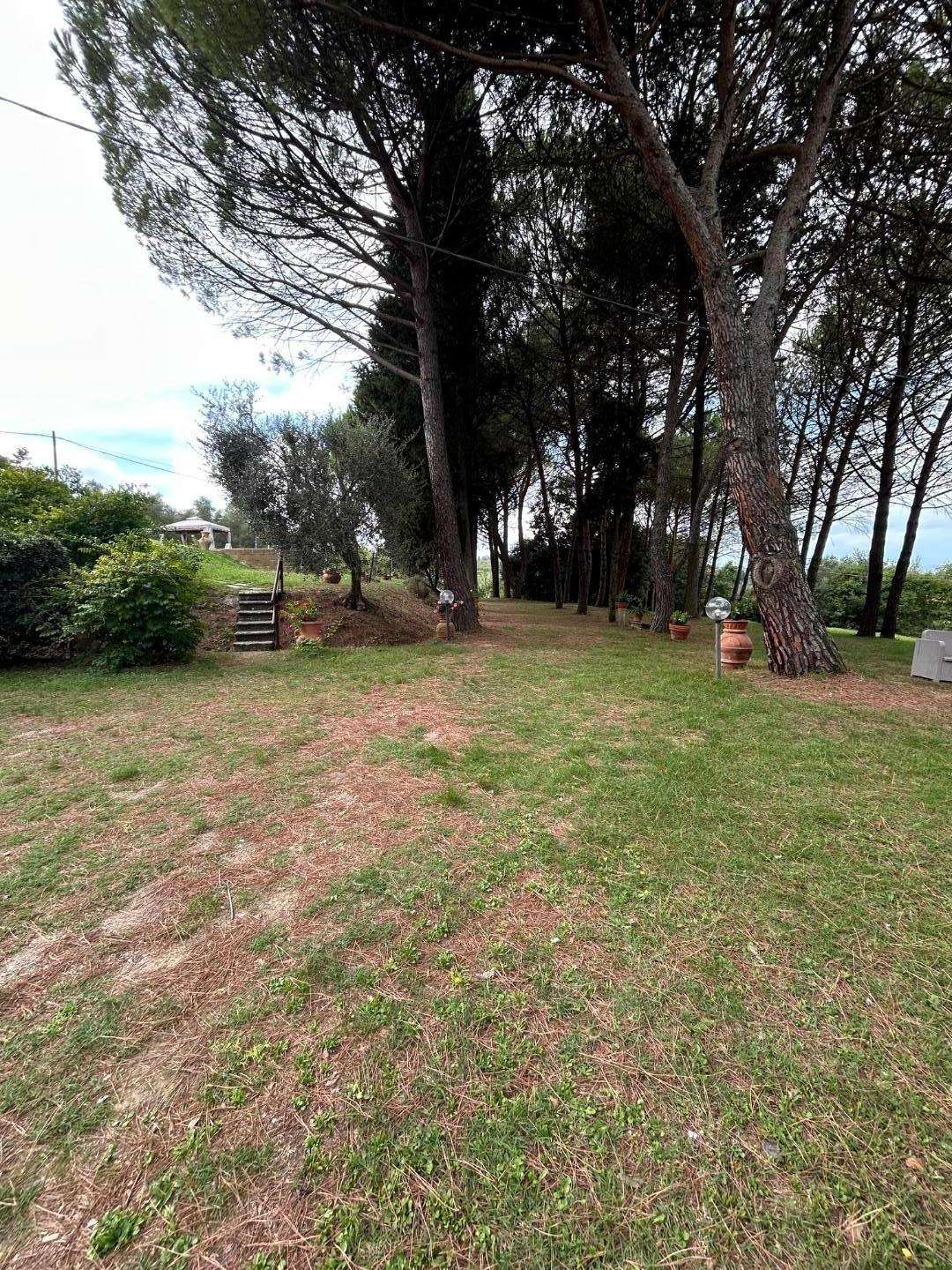  - foto 15