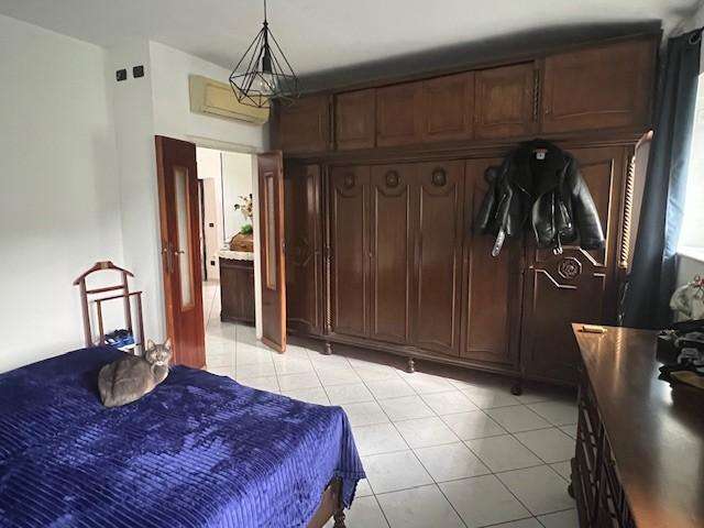  - foto 19