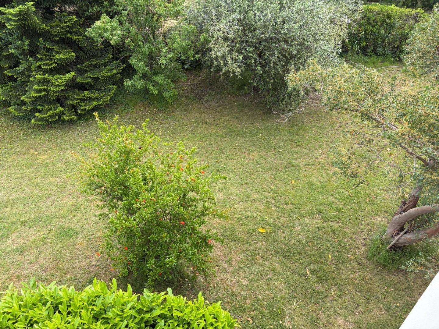  - foto 17
