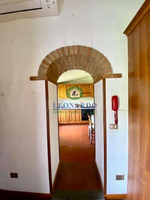  - foto 13