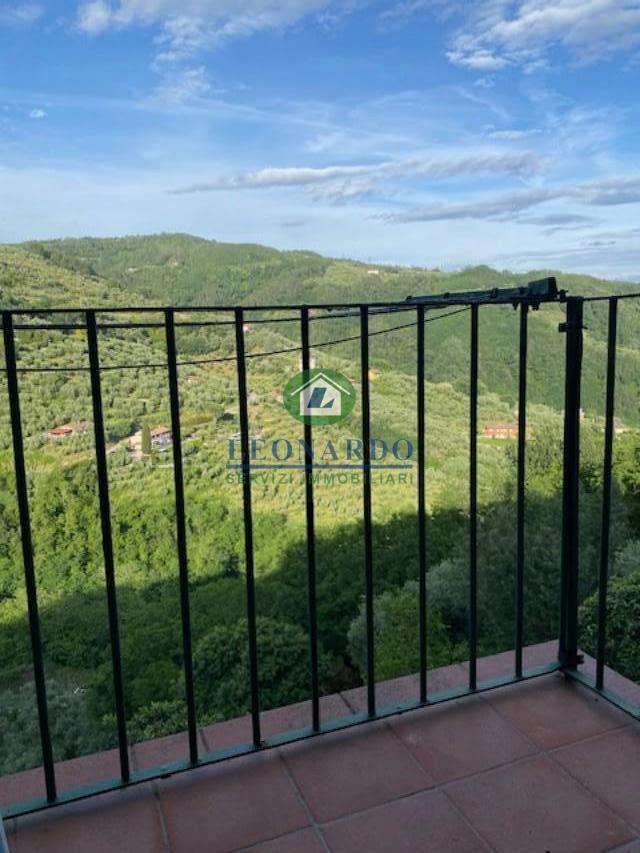  - foto 36