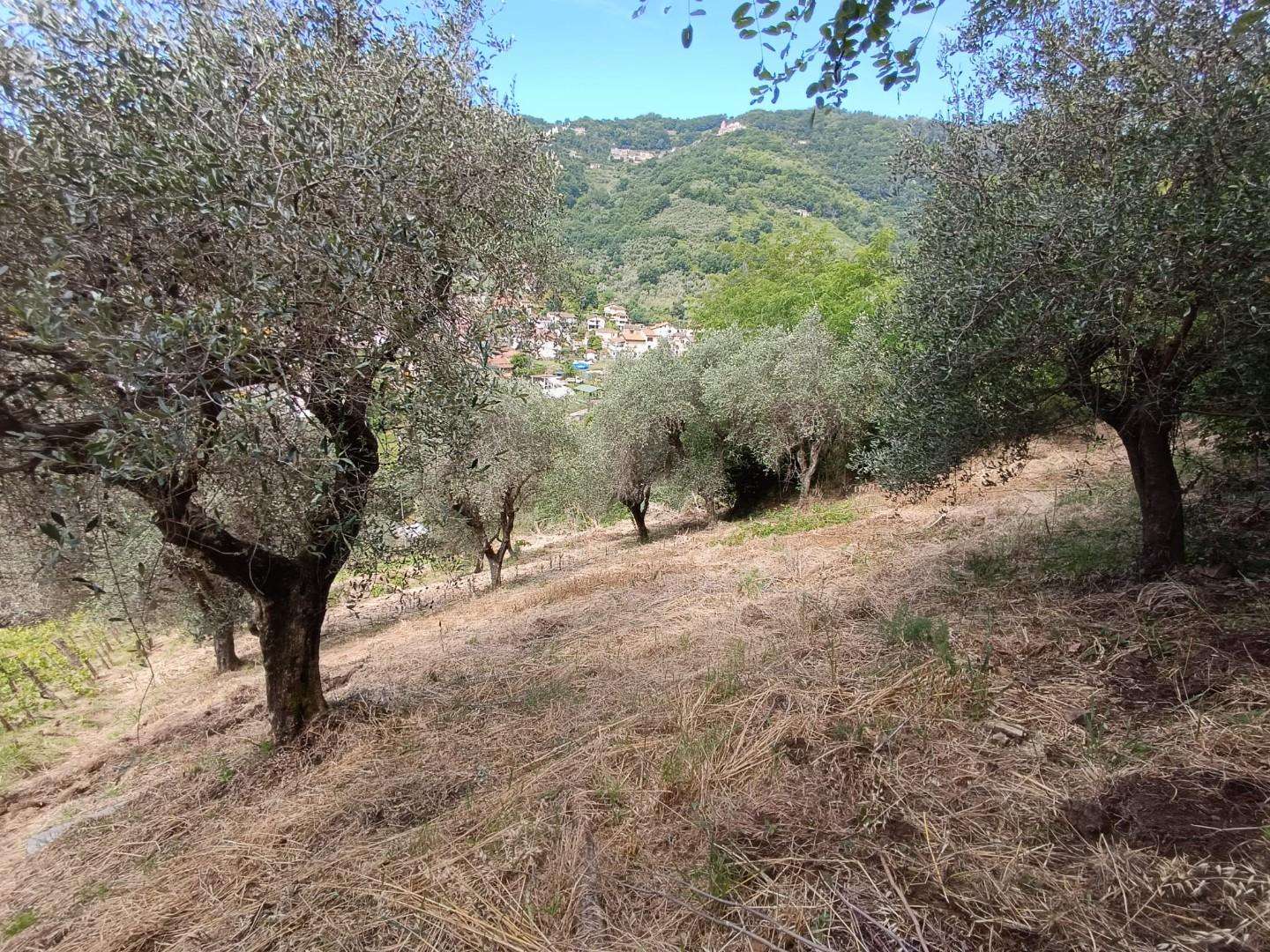  - foto 14