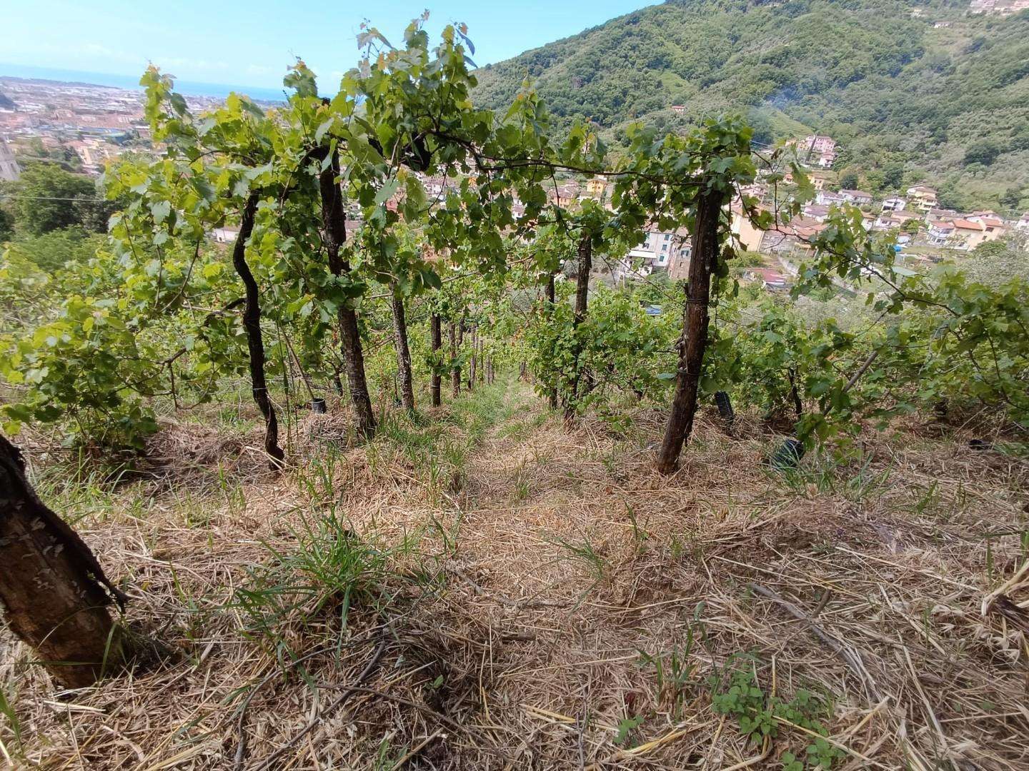  - foto 21