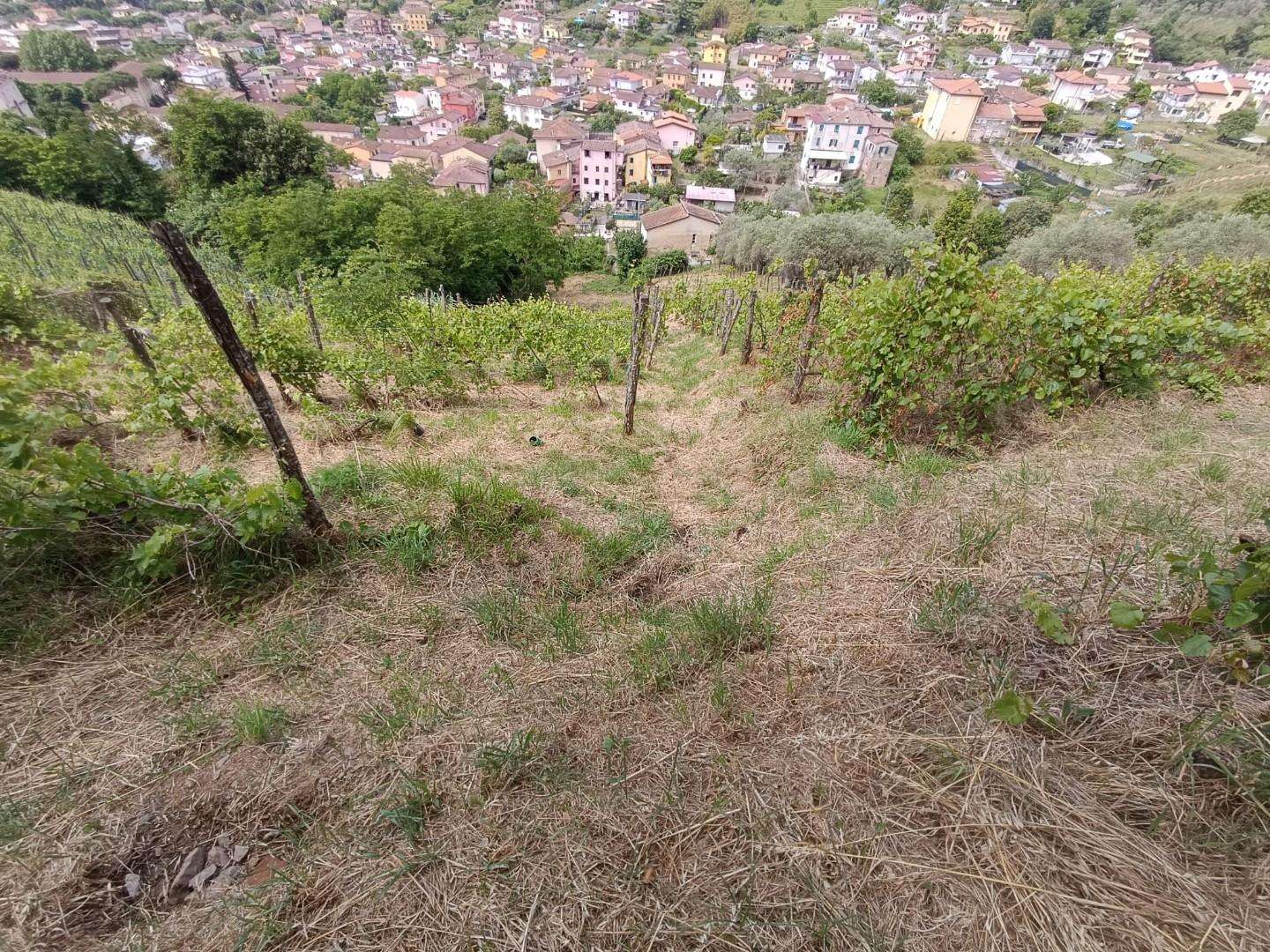  - foto 22