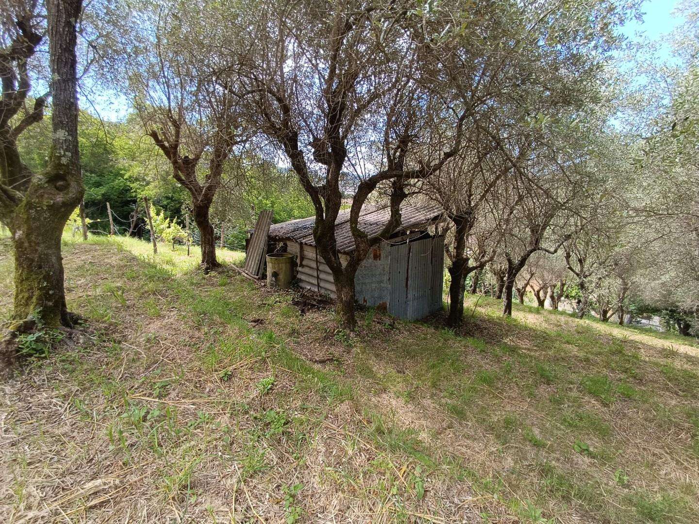  - foto 9