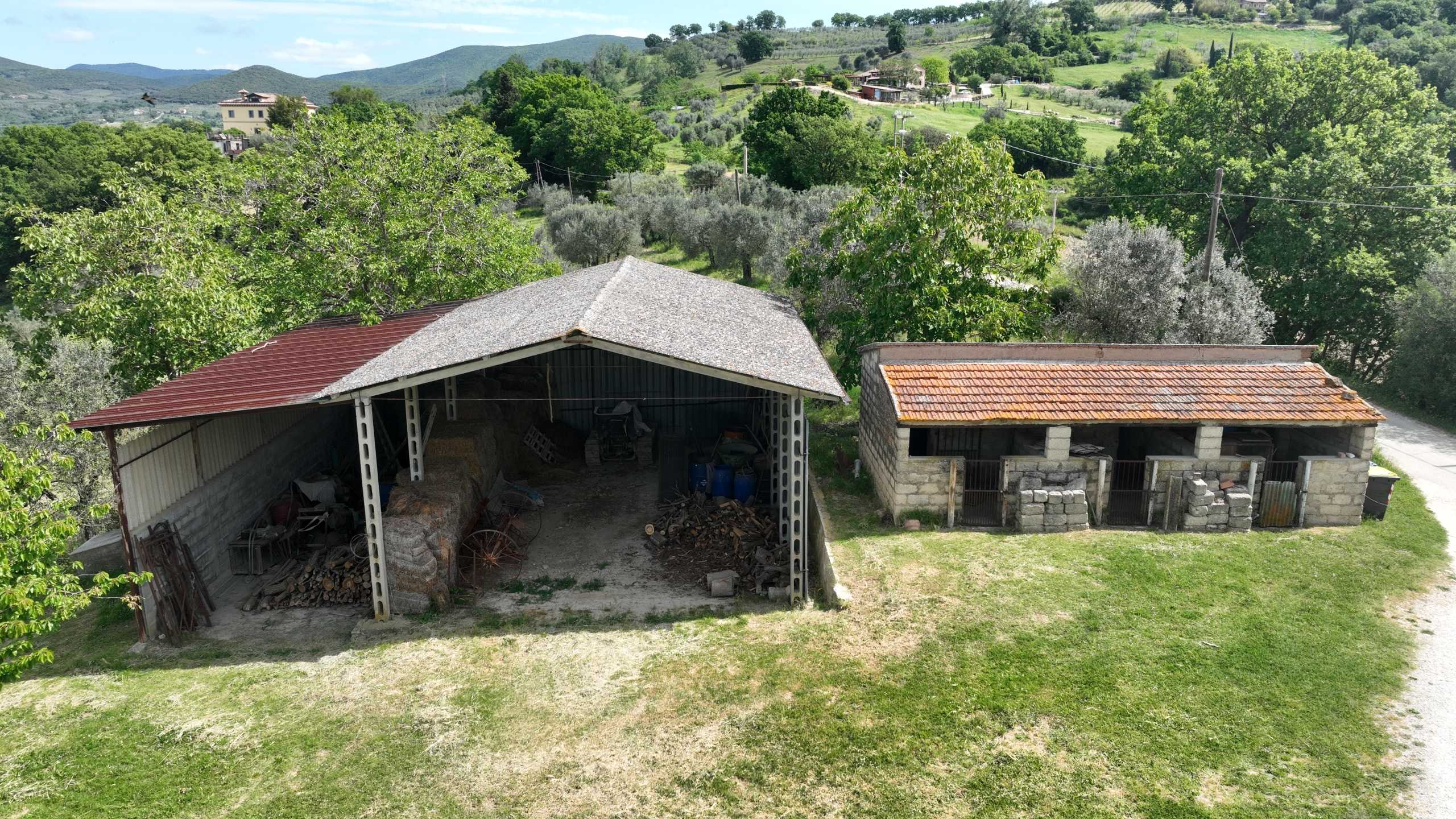  - foto 47