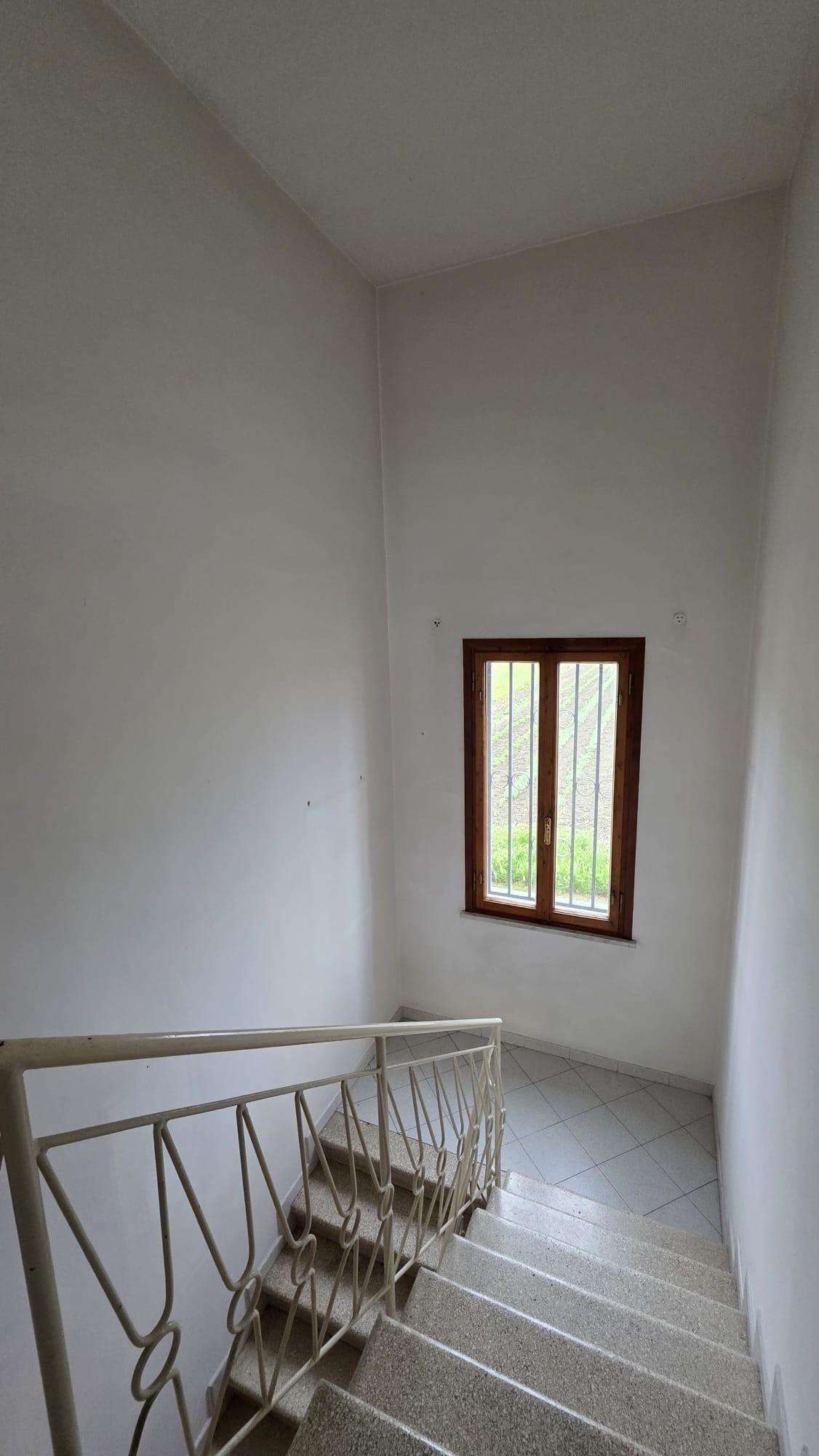  - foto 14