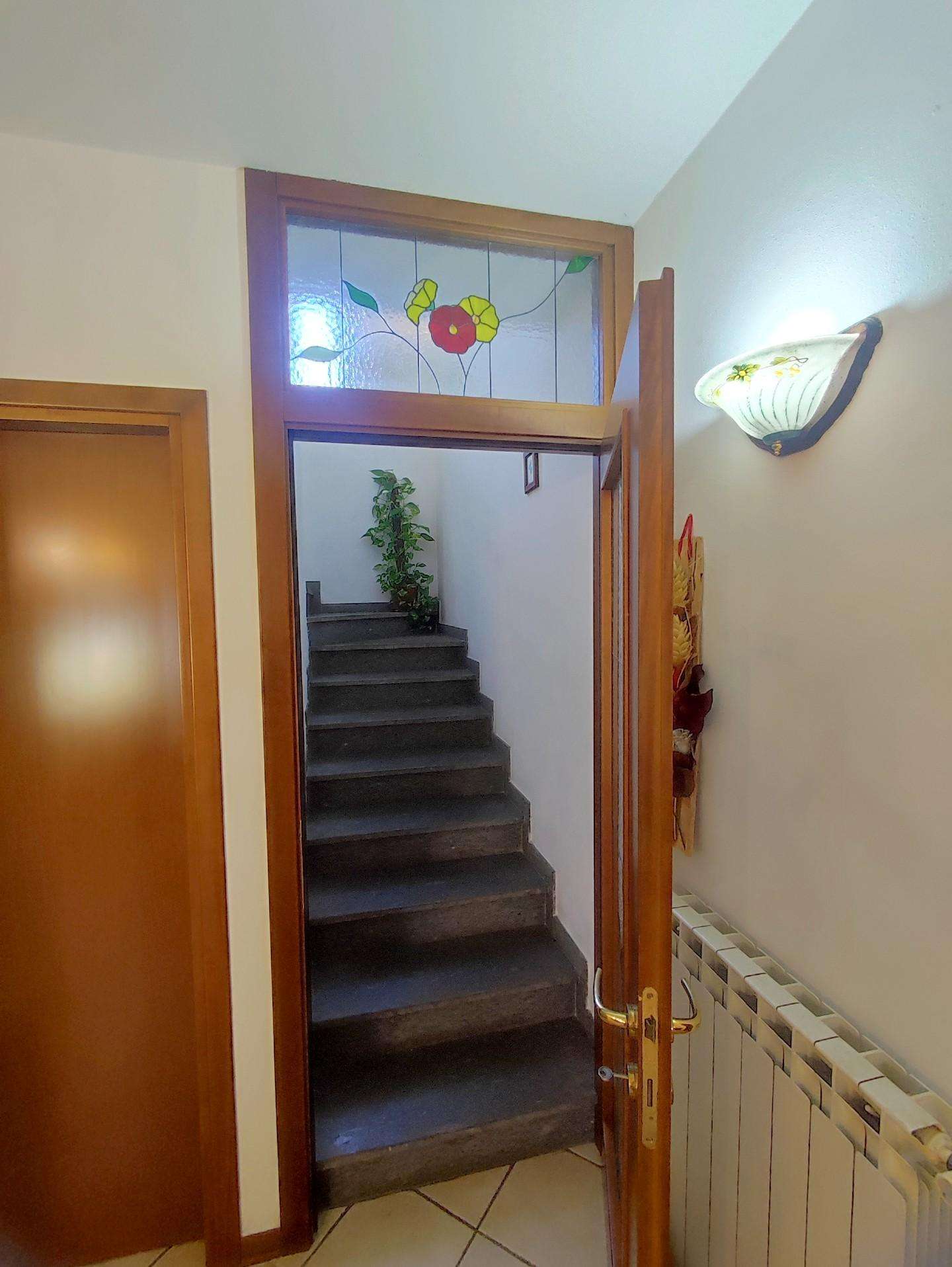  - foto 19