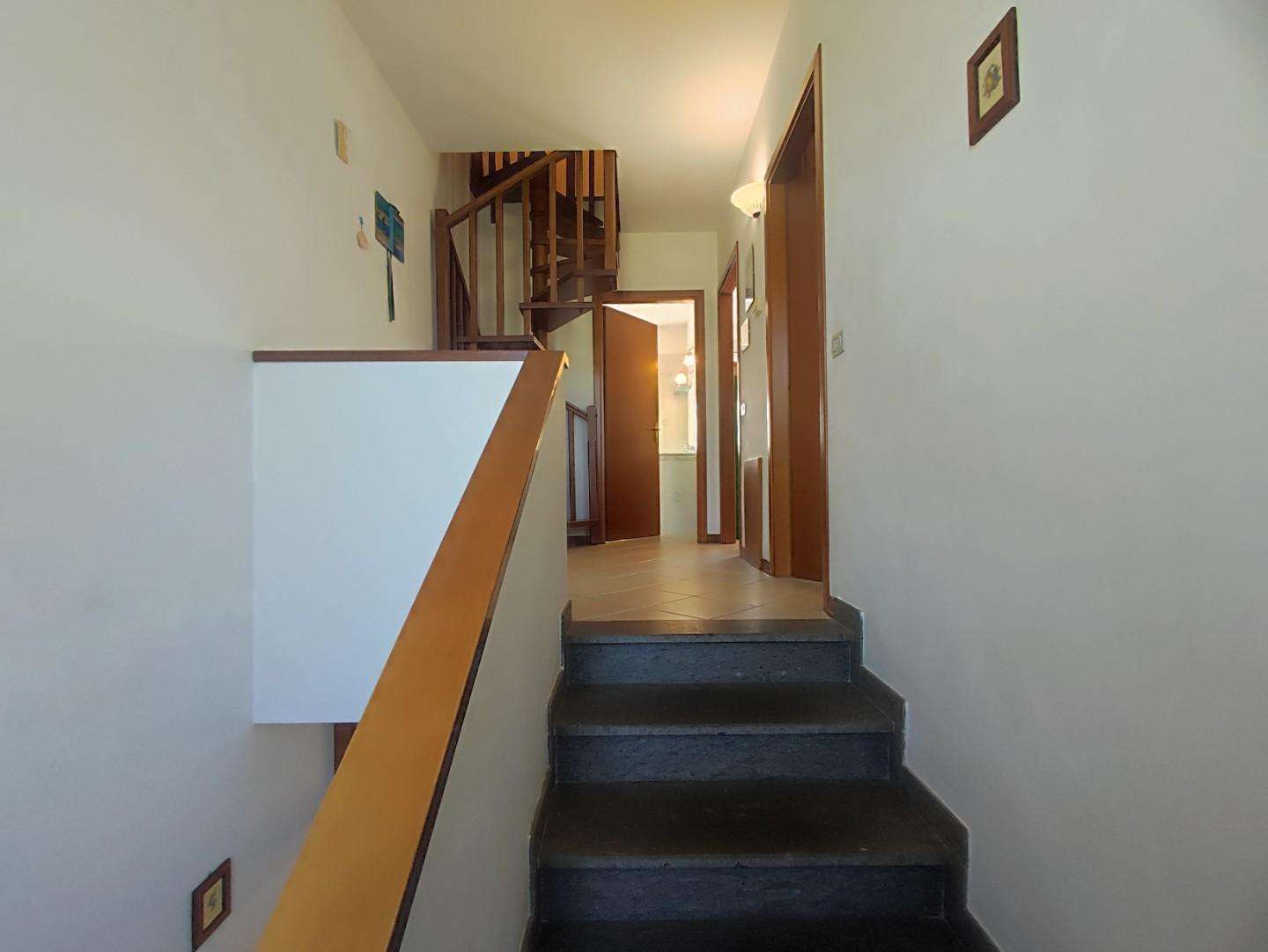  - foto 21
