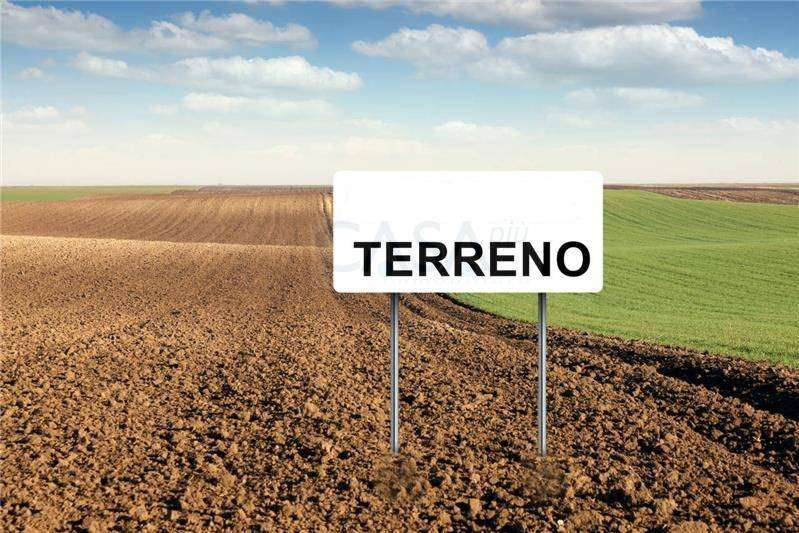 Terreno agricolo Contrada Cese, Castel di Lama