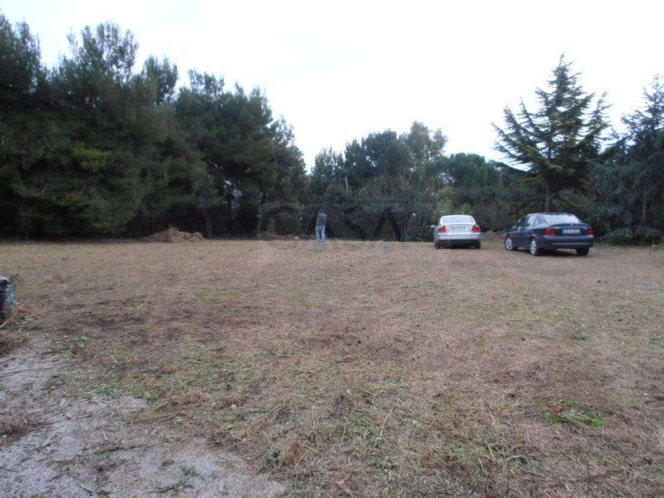  - foto 10