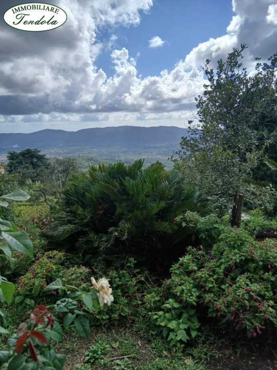  - foto 6