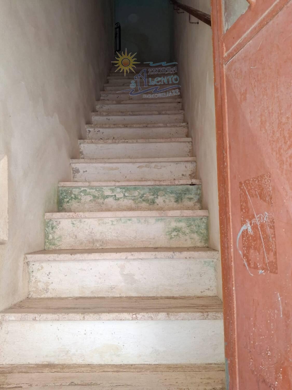  - foto 13