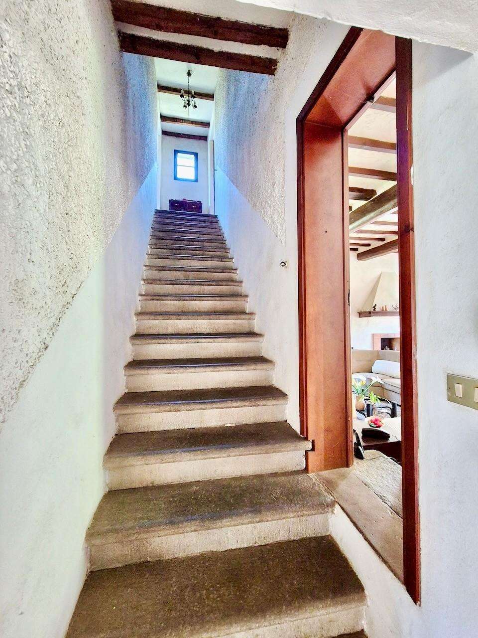  - foto 37