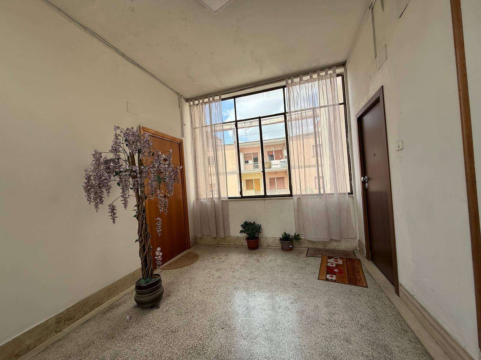  - foto 24