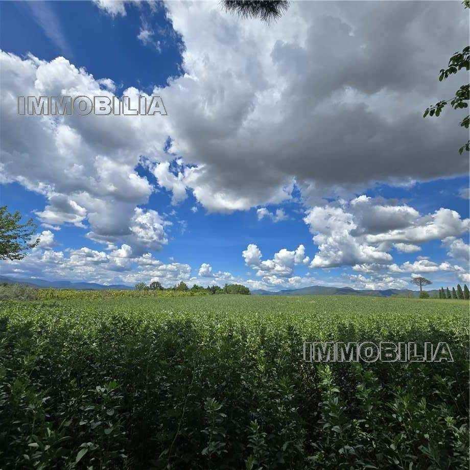  - foto 4