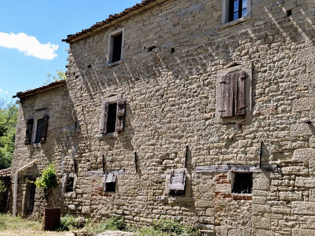 Rustico, Galeata