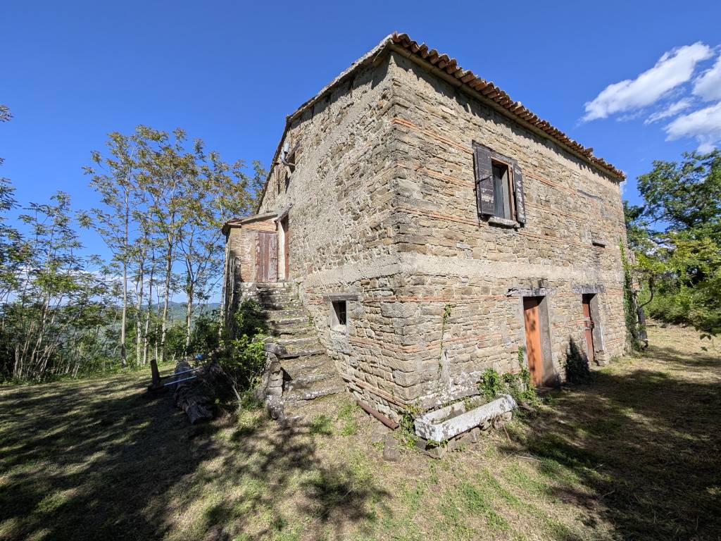 Rustico, Premilcuore