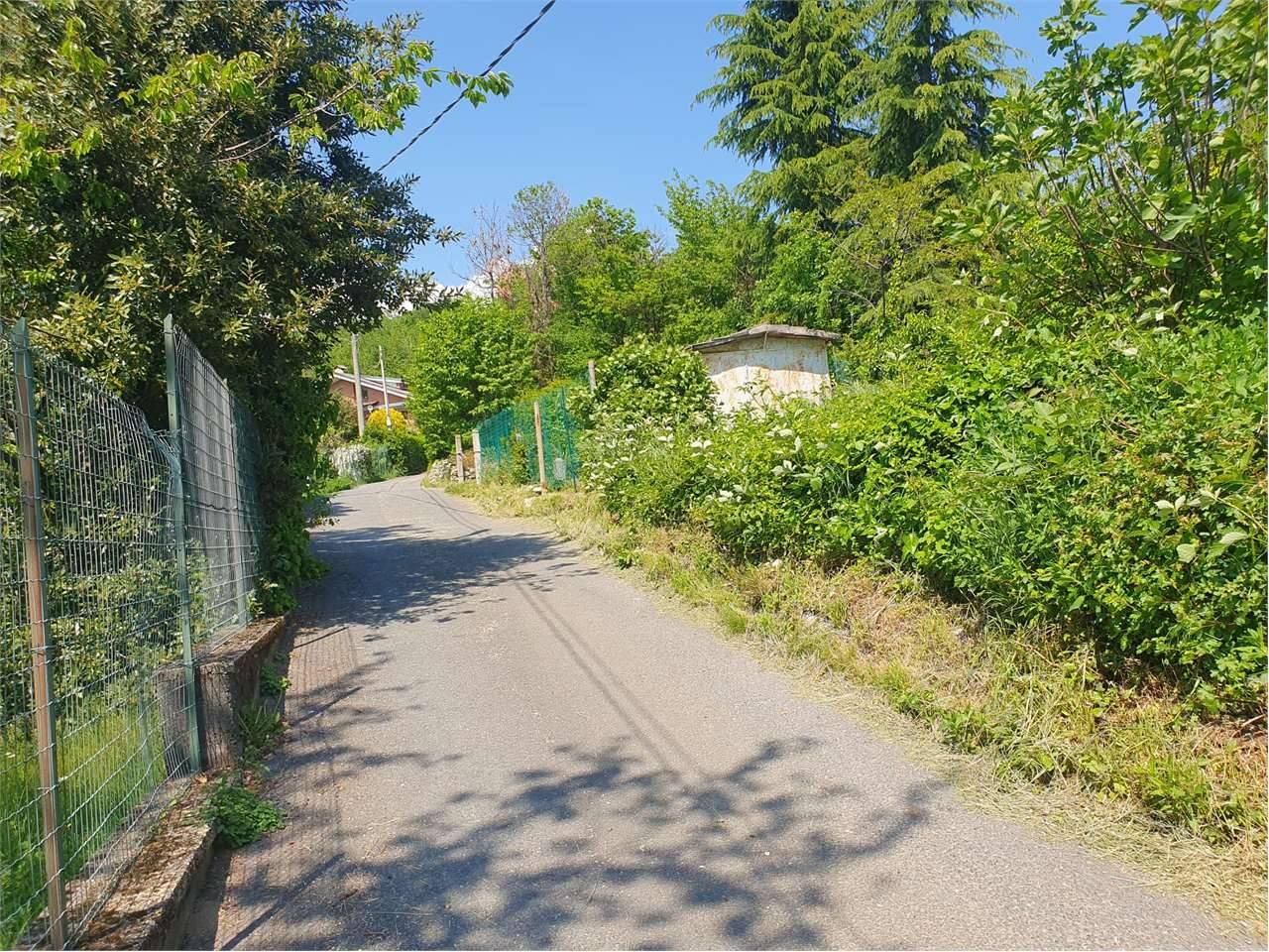  - foto 5