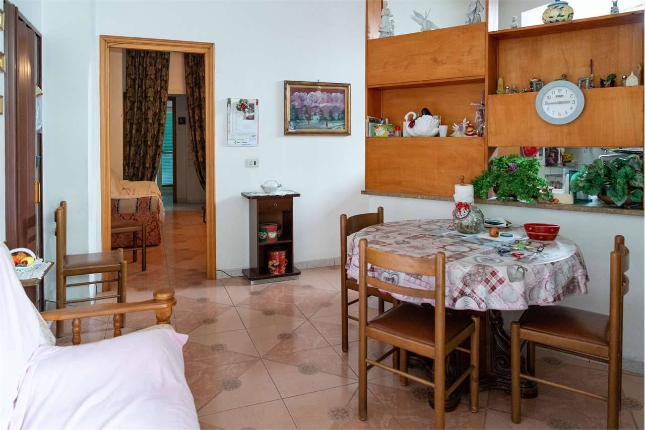  - foto 4